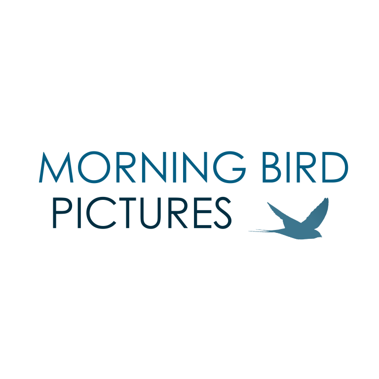 Morning Bird Pictures