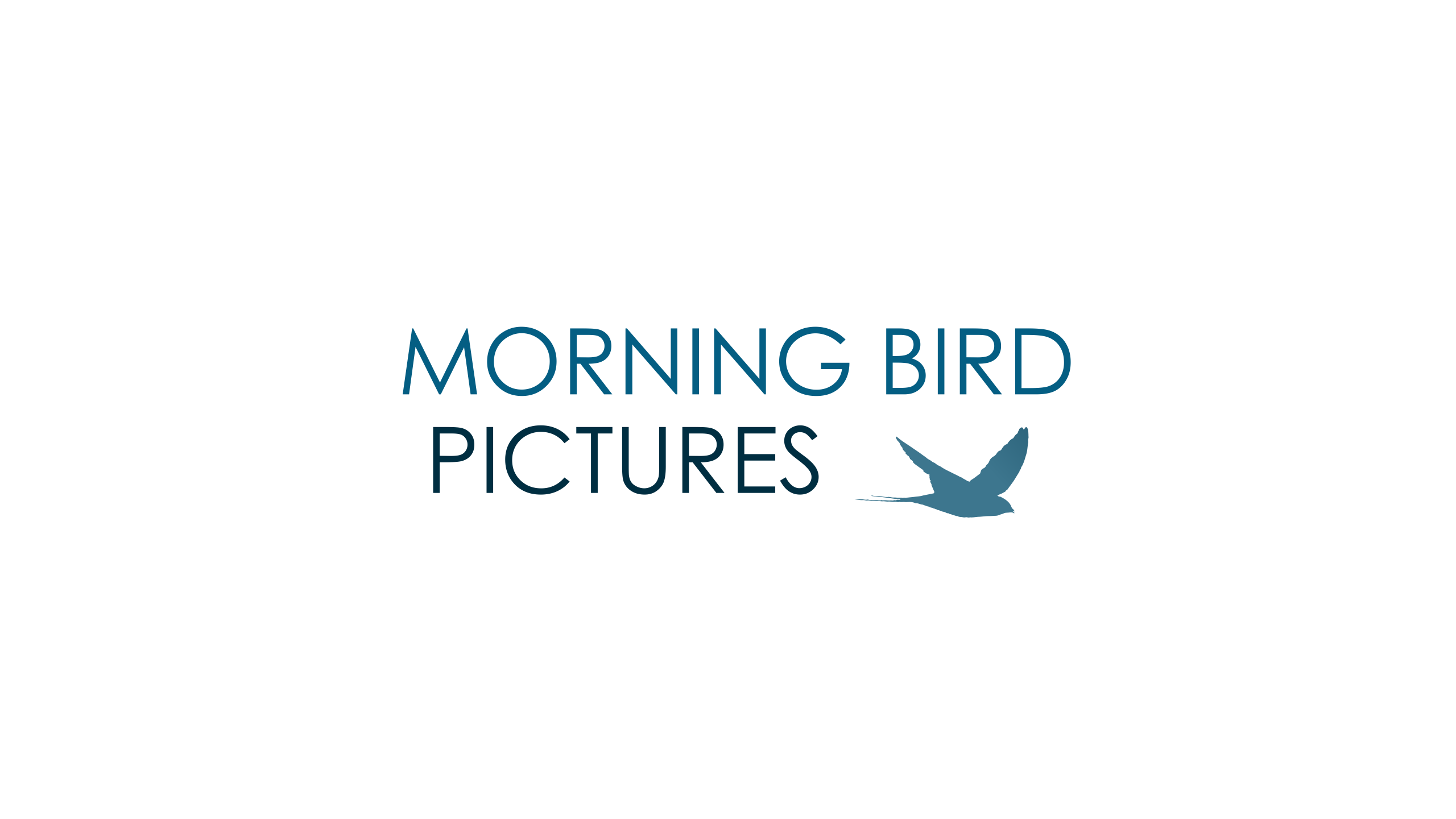 Morning Bird Pictures