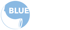 Blue Maroon Media
