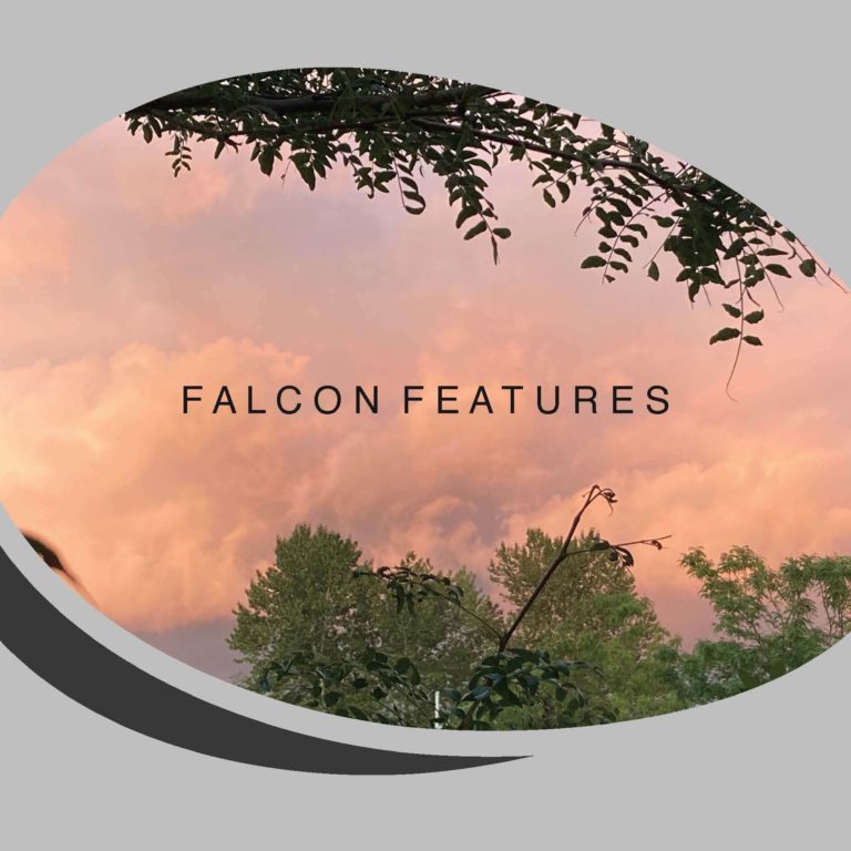 Falcon Features