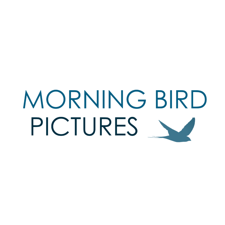 Morning Bird Pictures