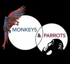 Monkeys & Parrots