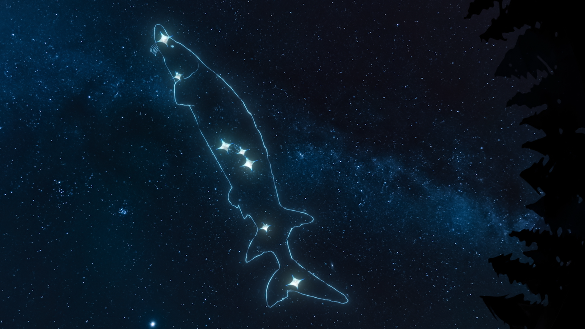 Wilfred Buck’s Star Stories